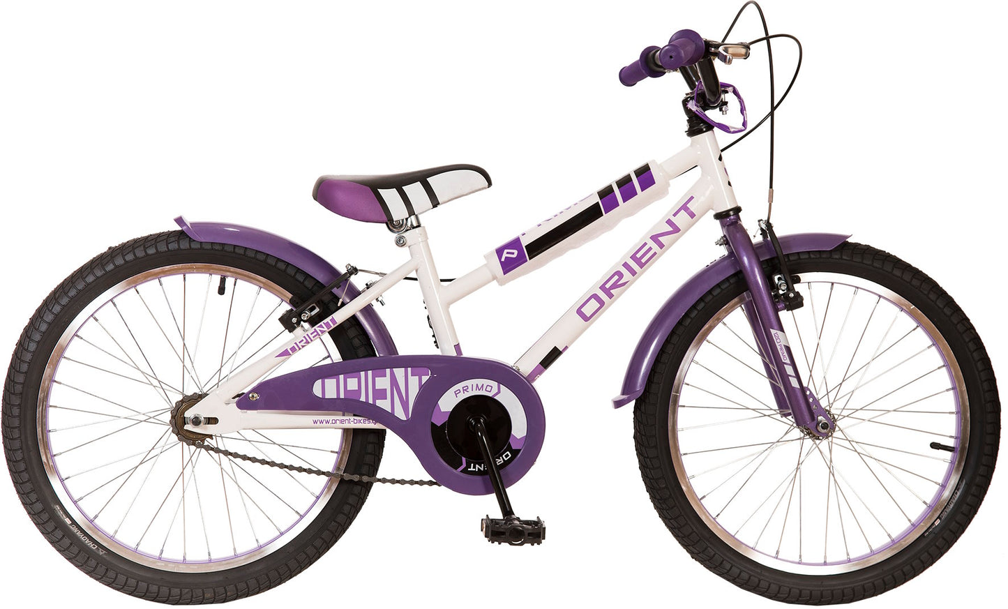 ORIENT- PRIMO 20"